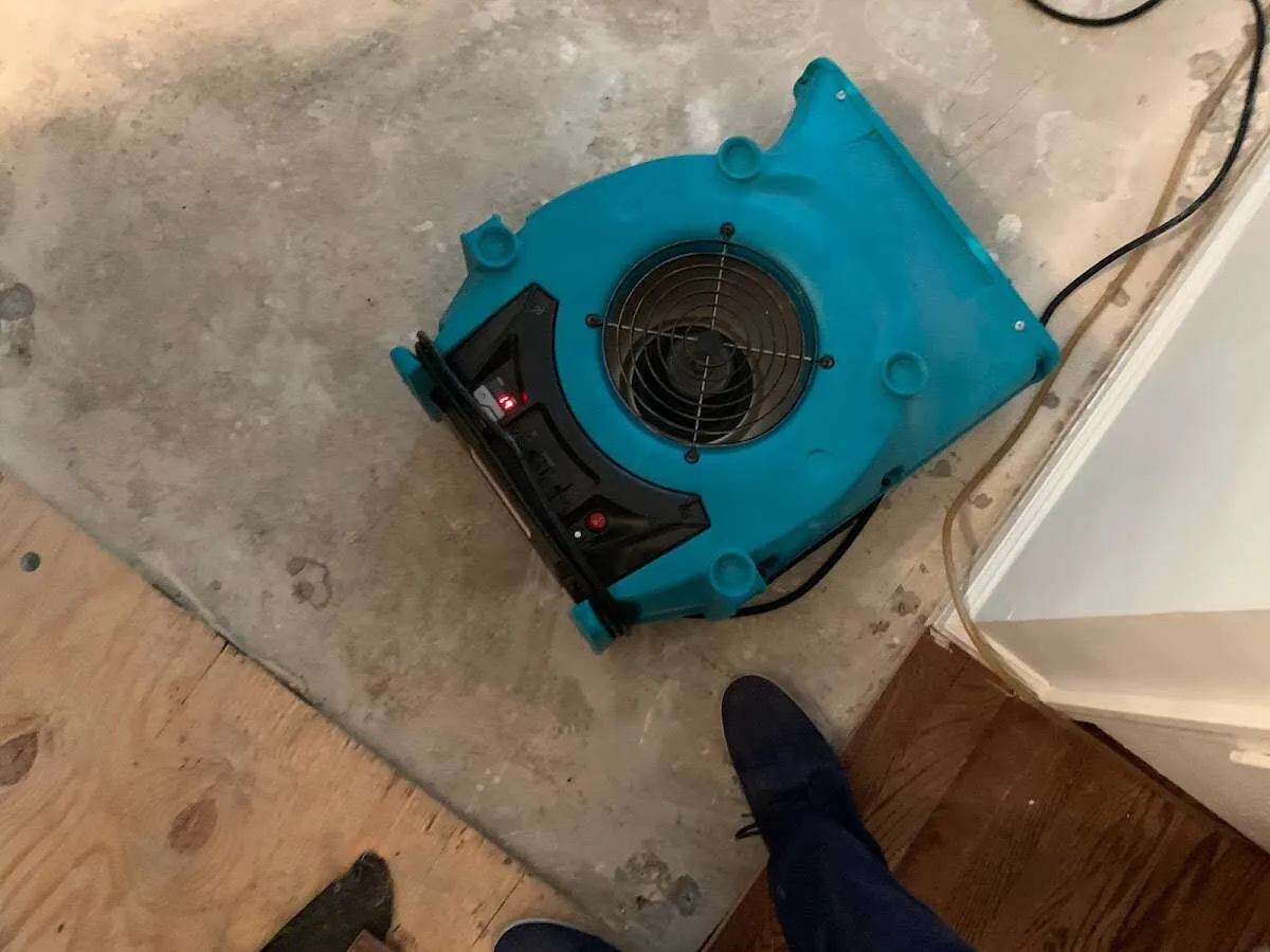 Air mover drying subfloor during Commercial Water Damage Restoration in Eden